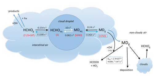 Schéma des processus dans le nuage concernant le formaldéhyde et le méthanediol en phase gazeuse.