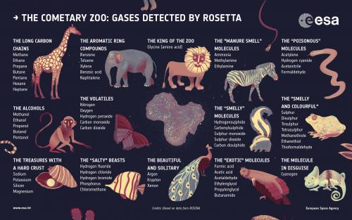 Molecules detected in Chury’s atmosphere visualised as animals