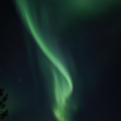 Polar lights